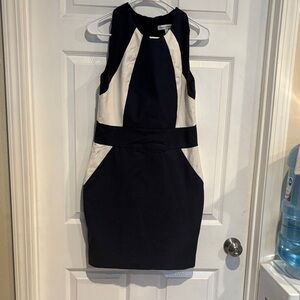 Banana Republic Navy and White Mini Dress